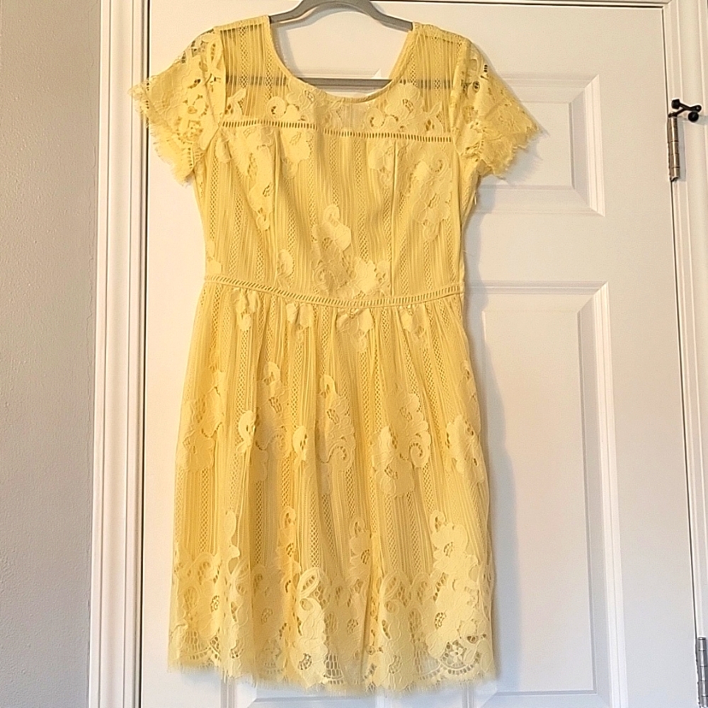 Lace Dress